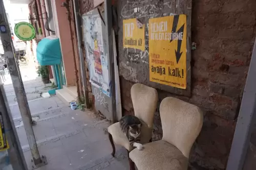 TKP Gönüllüsü Ol / Hemen Devletleştirme... (Kadıköy, 2022)
