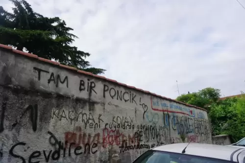 Tam Bir Ponçik / Yeni Rüyalarda Görüşmek Üzere