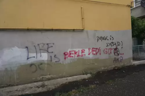 Bekle Dedi Gitti / Punk is dead