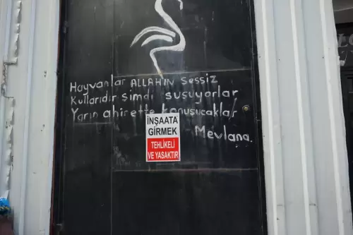 “Hayvanlar Allah’ın sessiz kullarıdır. Şimdi susuyorlar yarın ahirette konuşacaklar” Mevlana (Fatih, 2022)