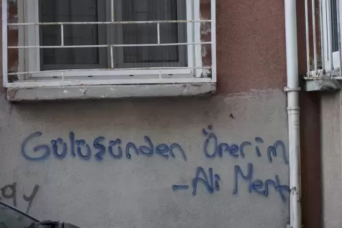 Gülüşünden Öperim. Ali Mert(Bahçelievler, 2023)