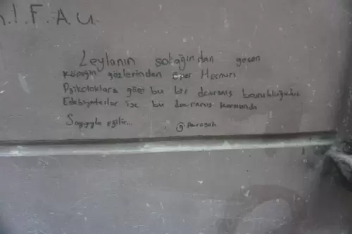 Leyla’nın sokağından geçen köpeğin gözlerinden öper Mecnun. Psikologlara göre bu bir davranış bozukluğudur. Edebiyatçılar ise bu davranış karşısında saygıyla eğilir. (Beyoğlu, 2022)