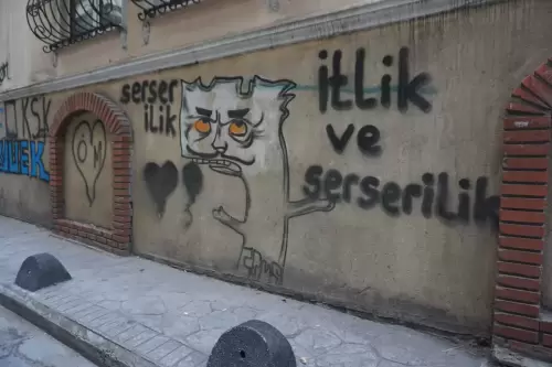 İtlik ve Serserilik (Beyoğlu, 2022)