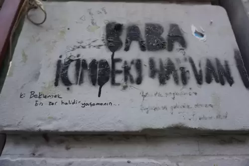 Baba İçimdeki Hayvan / Beklemek En Zor Halidir Yaşamanın (Beşiktaş, 2022)