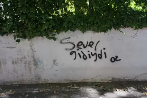 Sever gibiydi de (Sarıyer, 2022)