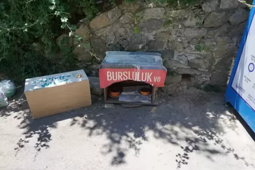Bursluluk ve