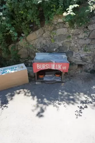 Bursluluk ve