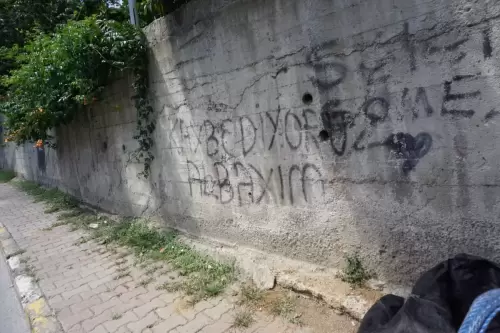 Kaybediyoruz Albayım (Line from Tehlikeli Oyunlar , Oğuz Atay) (Sarıyer, Derbent, 2022)