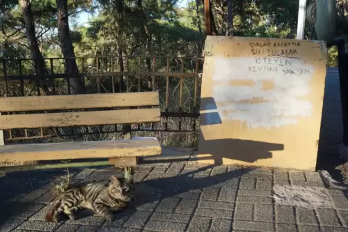 Işıkları Kapattık. Bizi Bulmak İsteyen Kendini Yaksın(Heybeliada, 2023)