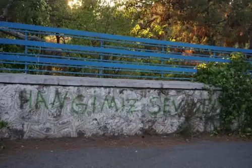 Hangimiz Sevmedik?