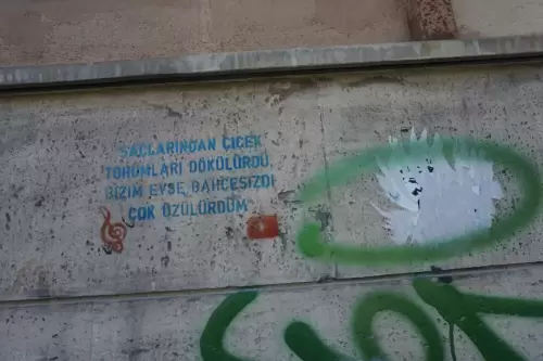 Saçlarından Çiçek Tohumları DökülürdüBizim Evse Bahçemizdi Çok Üzülürdüm.  (Beyoğlu, 2022)