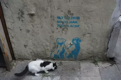 Yaz Geliyor Su Bulmak Zor Olacak (Kadıköy, 2022)