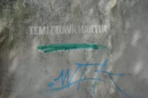 Temiz Hava Haktır (Kadıköy, 2022)