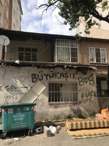 Büyük Aşık (Bahçelievler, Yaprak Sokak, 2023)