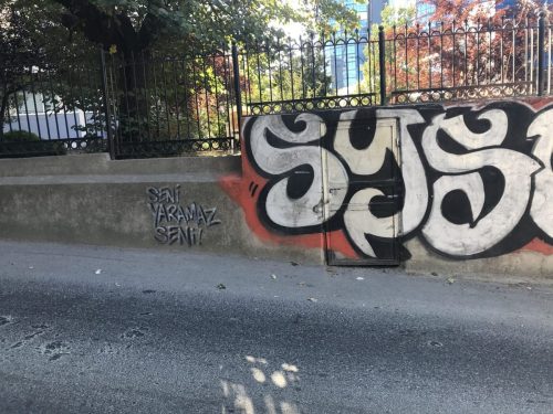 Seni Yaramaz Seni (Bahçelievler, 2025)