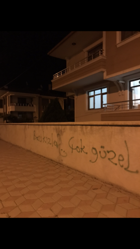 Bazı Kızlar Çok Güzel (Erzincan, 2024)